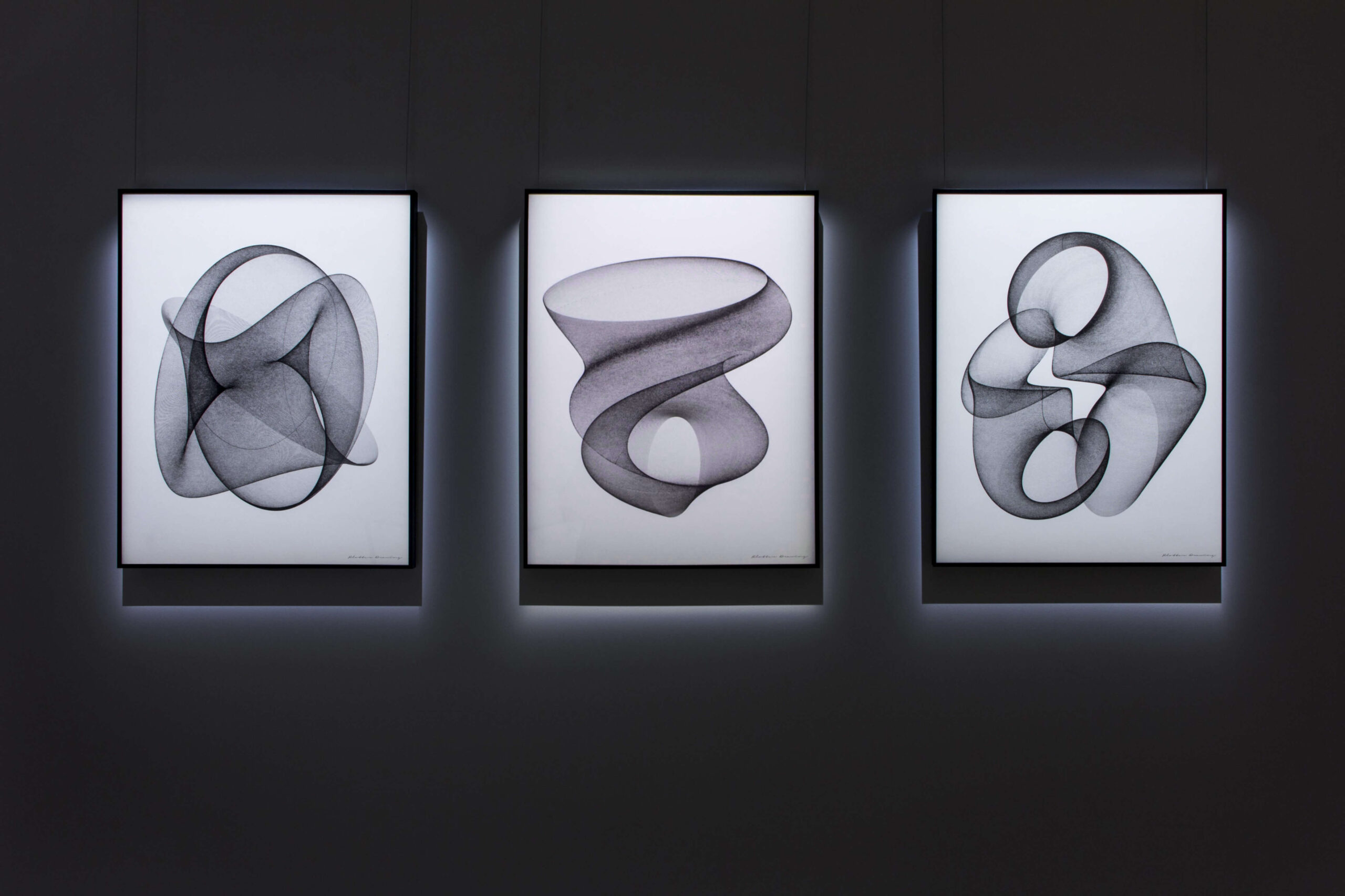 4D DRAWING | works | Plotter Drawing by hiromasa fukaji